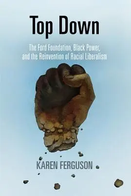 De sus în jos: Fundația Ford, Black Power și reinventarea liberalismului rasial - Top Down: The Ford Foundation, Black Power, and the Reinvention of Racial Liberalism