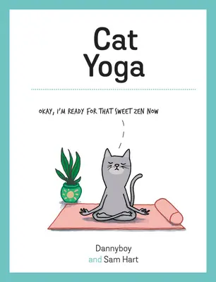 Yoga pentru pisici - Cat Yoga