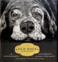 Câinii bătrâni: sunt cei mai buni câini - Old Dogs: Are the Best Dogs