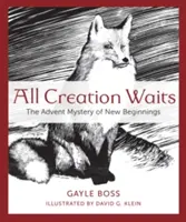 Toată creația așteaptă: Misterul advent al noilor începuturi - All Creation Waits: The Advent Mystery of New Beginnings