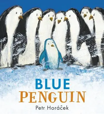 Pinguinul albastru - Blue Penguin
