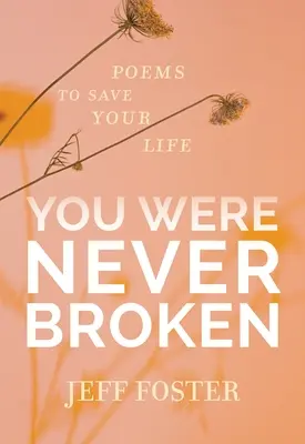 Nu ai fost niciodată frânt: Poezii pentru a-ți salva viața - You Were Never Broken: Poems to Save Your Life