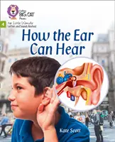 Cum poate auzi urechea - Faza 4 - How the Ear Can Hear - Phase 4