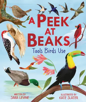 O privire la ciocuri: Uneltele pe care le folosesc păsările - A Peek at Beaks: Tools Birds Use