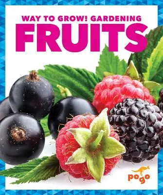 Fructe - Fruits