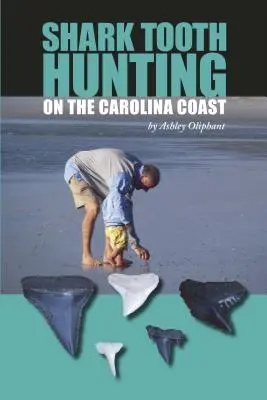 Vânătoare de dinți de rechin pe coasta Carolinei - Shark Tooth Hunting on the Carolina Coast