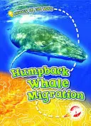 Migrația balenelor cu cocoașă - Humpback Whale Migration