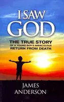 L-am văzut pe Dumnezeu: Povestea adevărată a întoarcerii miraculoase din moarte a unui băiețel - I Saw God: The True Story of a Young Boy's Miraculous Return from Death