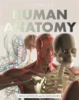 Anatomia umană ilustrată: Ghidul vizual autoritar al corpului uman - Illustrated Human Anatomy: The Authoritative Visual Guide to the Human Body