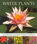 Water Plants - Un ghid ilustrat al soiurilor, cultivării și îngrijirii, cu instrucțiuni pas cu pas și peste 110 fotografii frumoase - Water Plants - An Illustrated Guide to Varieties, Cultivation and Care, with Step-by-step Instructions and Over 110 Beautiful Photographs