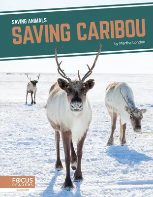 Salvarea Caribou - Saving Caribou