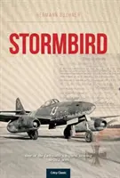 Pasărea furtunoasă - Stormbird