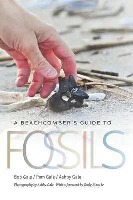Ghidul despre fosile al turiștilor de pe plajă (A Beachcomber's Guide to Fossils) - A Beachcomber's Guide to Fossils