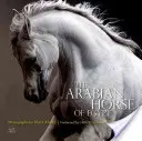 Calul arab din Egipt - The Arabian Horse of Egypt