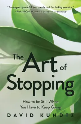 Arta de a te opri: Cum să rămâi nemișcat atunci când trebuie să mergi mai departe (Mindfulness Meditation) - The Art of Stopping: How to Be Still When You Have to Keep Going (Mindfulness Meditation)