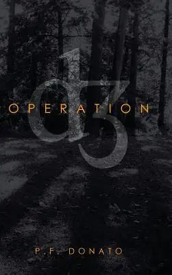 Operațiunea D3 - Operation D3