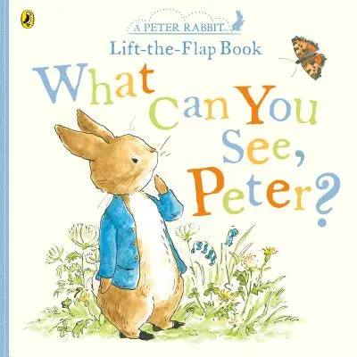 Ce poți vedea Peter? - Foarte mare carte cu clape de ridicat - What Can You See Peter? - Very Big Lift the Flap Book