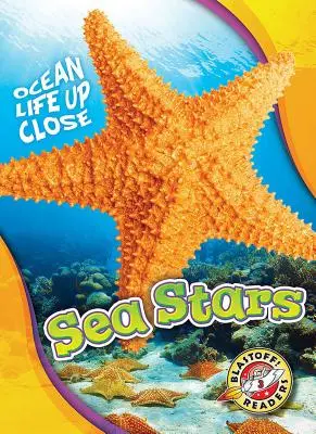 Stele de mare - Sea Stars