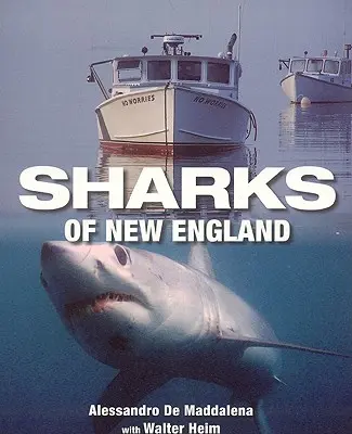 Rechinii din Noua Anglie - Sharks of New England