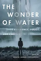 Minunea apei: Experiență trăită, politică și practică - The Wonder of Water: Lived Experience, Policy, and Practice