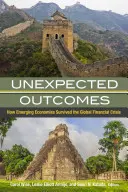 Unexpected Outcomes: Cum au supraviețuit economiile emergente crizei financiare mondiale - Unexpected Outcomes: How Emerging Economies Survived the Global Financial Crisis