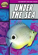 Rapid Reading: Sub mare (Etapa 3, Nivelul 3A) - Rapid Reading: Under the Sea (Stage 3, Level 3A)