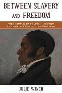 Între sclavie și libertate: Oameni liberi de culoare în America de la colonizare până la Războiul Civil - Between Slavery and Freedom: Free People of Color in America From Settlement to the Civil War