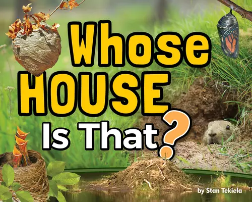 A cui este casa aceea? - Whose House Is That?