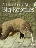 Bug Club Guided Non Fiction Anul 1 Albastru B O mică privire la reptilele mari - Bug Club Guided Non Fiction Year 1 Blue B A Little Look at Big Reptiles