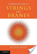 Introducere în corzi și ramuri - Introduction to Strings and Branes