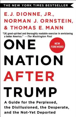 O națiune după Trump: Un ghid pentru cei perplecși, deziluzionați, disperați și încă nedeportați - One Nation After Trump: A Guide for the Perplexed, the Disillusioned, the Desperate, and the Not-Yet Deported