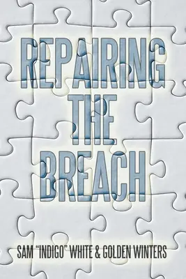 Repararea breșei - Repairing the Breach