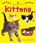 Spune și arată cu degetul Tablouri: Pisicuțe - Say and Point Picture Boards: Kittens