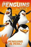 Pinguinii din Madagascar - Pinguini în pericol - Penguins of Madagascar - Penguins in Peril