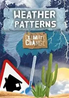 Modele meteorologice - Weather Patterns