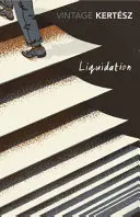 Lichidare - Liquidation