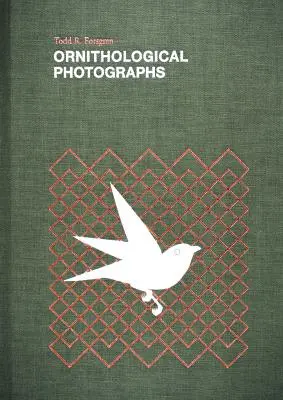 Fotografii ornitologice - Ornithological Photographs