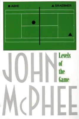 Nivelurile jocului - Levels of the Game