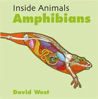 Amfibieni - Amphibians