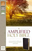 Amplificată-Am: Captează înțelesul deplin din spatele originalului grecesc și ebraic - Amplified-Am: Captures the Full Meaning Behind the Original Greek and Hebrew