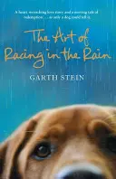 Arta de a alerga în ploaie - Art of Racing in the Rain