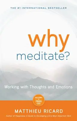 De ce să medităm? - Why Meditate?
