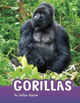 Gorile - Gorillas