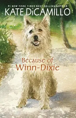 Din cauza lui Winn-Dixie - Because of Winn-Dixie