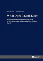 What Does It Look Like?; Filosofia lui Wittgenstein în lumina concepției sale despre descrierea limbajului: Partea I - What Does It Look Like?; Wittgenstein's Philosophy in the Light of His Conception of Language Description: Part I