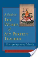 Un ghid al cuvintelor profesorului meu perfect - A Guide to the Words of My Perfect Teacher