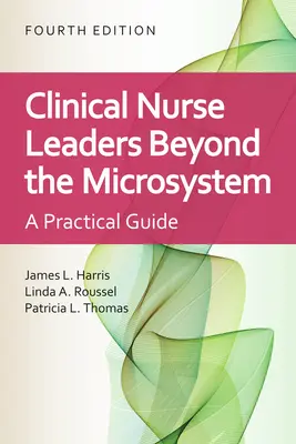 Liderii asistentelor medicale clinice: Beyond the Microsystem (Dincolo de microsistem): Dincolo de Microsistem - Clinical Nurse Leaders: Beyond the Microsystem: Beyond the Microsystem