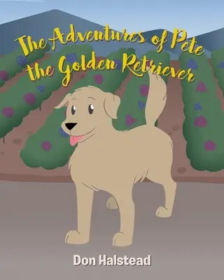 Aventurile lui Pete, Golden Retriever - The Adventures of Pete the Golden Retriever