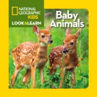 Bebeluși animale - Baby Animals