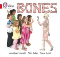Oase - Bones